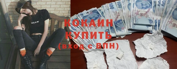 соль ск Абаза