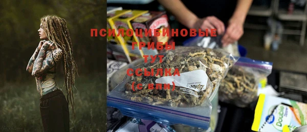 соль ск Абаза
