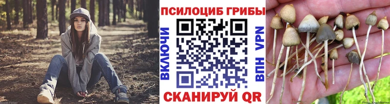 цены   Фурманов  кракен   Галлюциногенные грибы MAGIC MUSHROOMS 